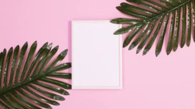 Palmiye yaprakları, pastel pembe arka planda fotokopi çerçevesi etrafında hareket eder. Hareketi durdur