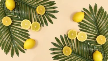 Palmiye yaprakları ve limonlarla dolu yaz süslemeleri bej arka planda hareket eder. Hareketi durdur