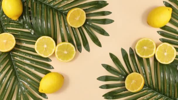 Yaz Süslemeleri Palmiye Yaprakları Bej Arka Planda Limonlar Hareketi Durdur — Stok video
