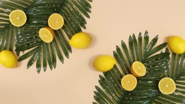 ベージュの背景にヤシの葉とレモンと夏の新鮮な配置 動くな — ストック動画
