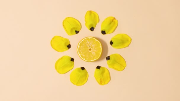 Kreativní Plátky Citronu Žluté Okvětní Lístky Pohybují Písčitém Pozadí Stop — Stock video
