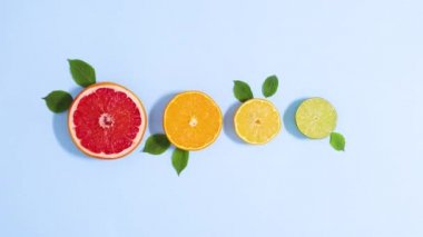 Dilimlenmiş turunçgillerden oluşan, parlak mavi arka planda dönen yeşil yapraklı yaz çizgisi. Dur hareketi düz yatıyordu