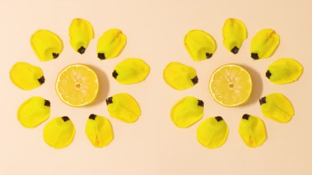 Two Creative Summer Yellow Flowers Made Lemon Flower Petals Move — Vídeos de Stock