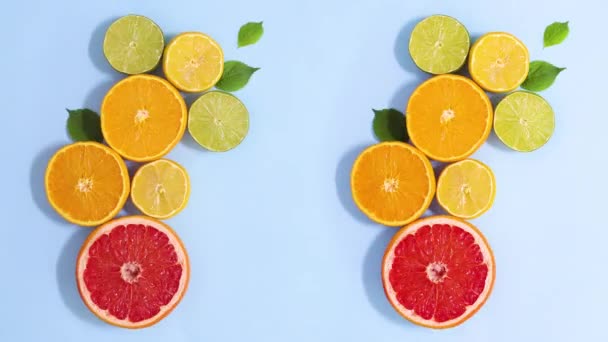 Fresh Citrus Fruits Arrangement Leaves Appear Bright Blue Background Stop — ストック動画