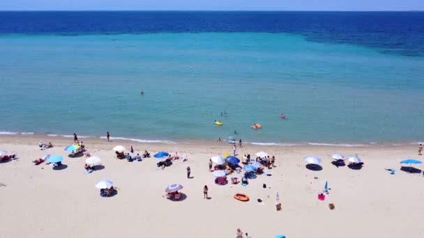 Pessoas Que Passam Dia Fim Semana Ensolarado Praia Dia Agitado — Vídeo de Stock