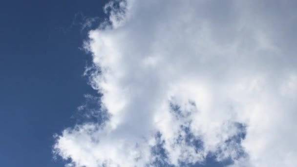 青い空を通過する雲の時間の経過 — ストック動画