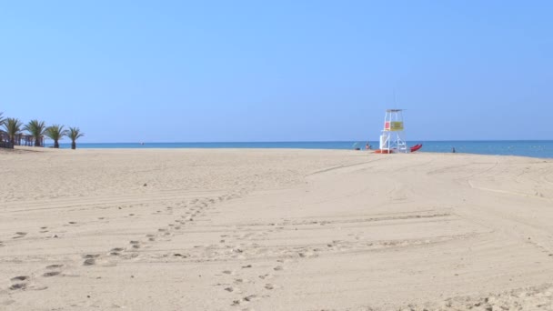 Incredibile Spaziosa Spiaggia Sabbia Vuota Con Casa Bagnino Palme Mare — Video Stock
