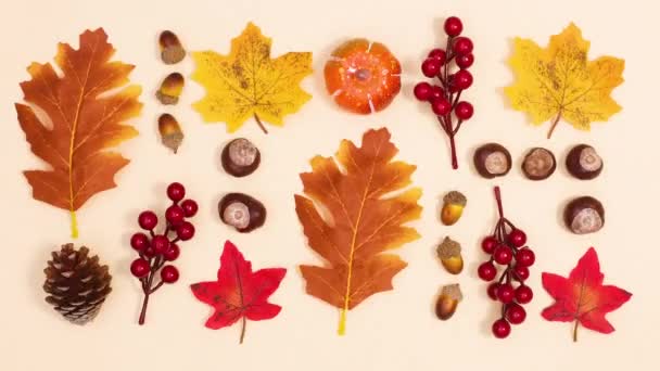 Arrangement Automnal Des Feuilles Des Fruits Automne Déplacent Sur Fond — Video