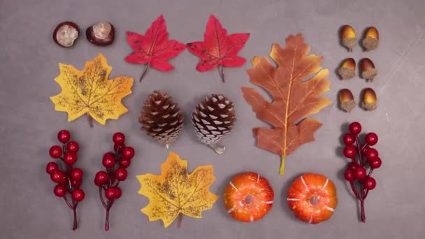 Fruits Automne Déplacent Sur Fond Sombre Stop Motion — Video