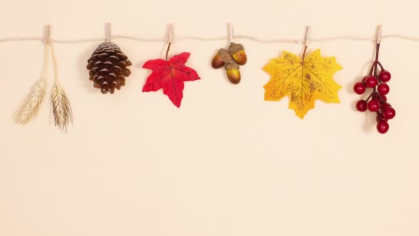Fruits Autumn Hanged Rope Moving Stop Motion — Stock Video