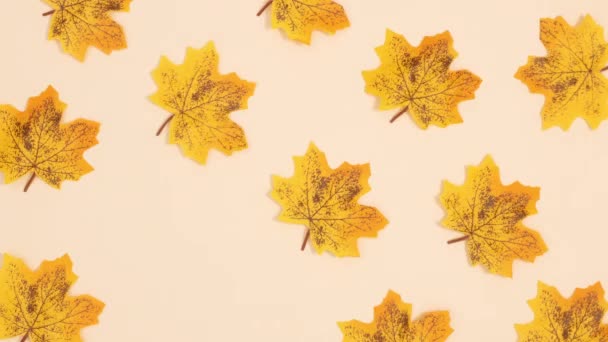 Hojas Amarillas Otoño Parpadeando Sobre Fondo Beige Detener Movimiento — Vídeo de stock