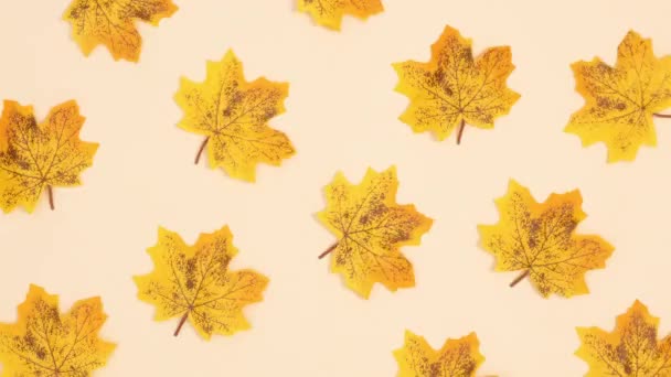黄秋的叶子在米色的背景上向右移动 停止运动 — 图库视频影像
