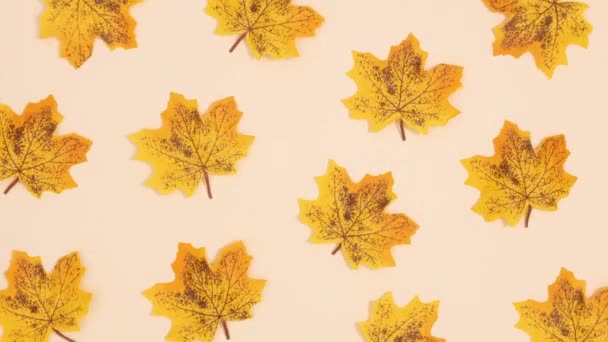 Folhas Outono Amarelas Caem Fundo Bege Parar Movimento — Vídeo de Stock