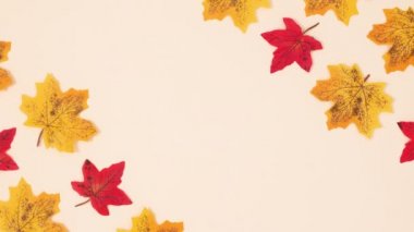 Sol ve sağ köşede sonbahar kırmızı ve sarı yapraklar görünür. Hareketi durdur 