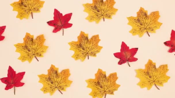 Padrão Outono Feito Folhas Amarelas Vermelhas Dançando Fundo Bege Parar — Vídeo de Stock