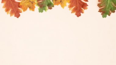 Bej arka planda sonbahar yaprakları sipariş ediliyor. Hareketi durdur