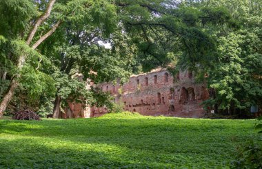 Güneşli bir yaz gününde ağaçların arasında antik bir Redstone şatosunun kalıntıları. Balga Kalesi. Kaliningrad 'da. Rusya