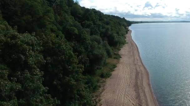 Vista Aérea Praia Arenosa Com Árvores Verão Dia Ensolarado Visto — Vídeo de Stock