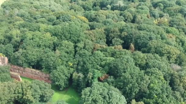 Luftaufnahme Der Ruinen Einer Antiken Burg Balga Zwischen Den Bäumen — Stockvideo