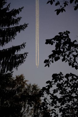 Mavi gökyüzündeki uçaktan ağaçların arka planına doğru giden izler