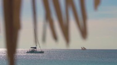 dhow tekneleri gündüz denizde yüzüyor.