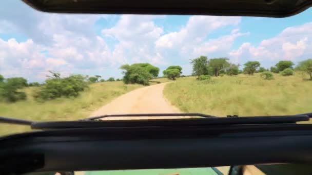 Uitzicht Vanaf Safari Auto Snel Rijden Weg Nationaal Park Tarangire — Stockvideo