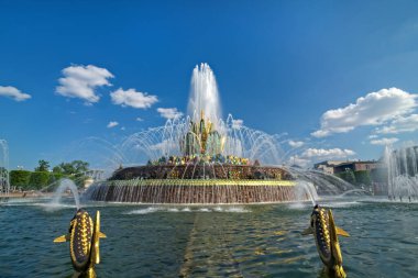 water jets of the fountain on a clear summer day. stone flower fountain