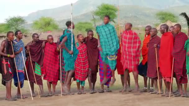 Африканське Плем Масаї Виконує Ритуальний Танець Танзанія — стокове відео