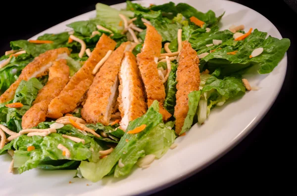 Salada de frango crocante Imagem De Stock