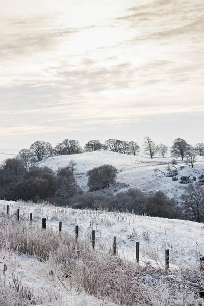 英国诺森伯兰冬季有雪有云的景观 — 图库照片