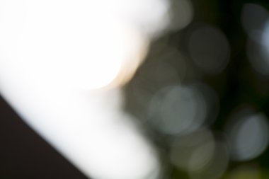 besteleri ve yer paylaşımları için arka plan bulanık