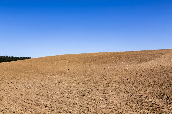 Landscape with plowed field and blue sky — Stock Photo, Image