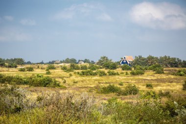 tipik Hiddensee heath yatay, mavi yazlık
