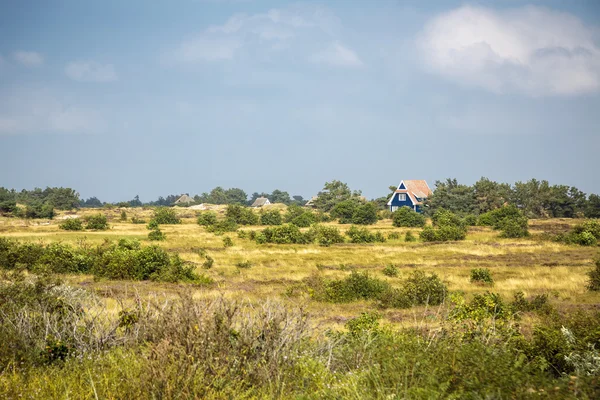 Типовий ландшафт heath Hiddensee з синій будиночок — стокове фото