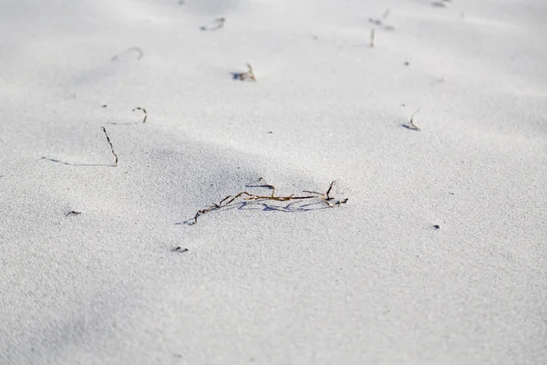 Bakgrund med Detaljer för en strand — Stockfoto