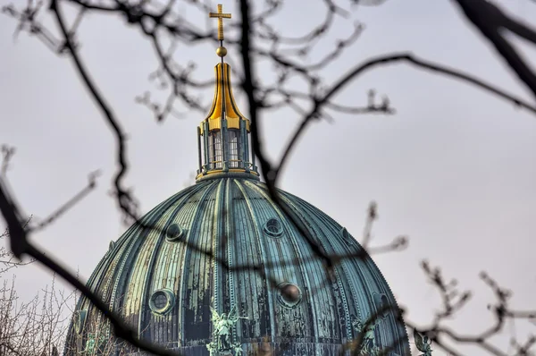 Купол Берлинского купола, видимый через некоторые ветви — стоковое фото