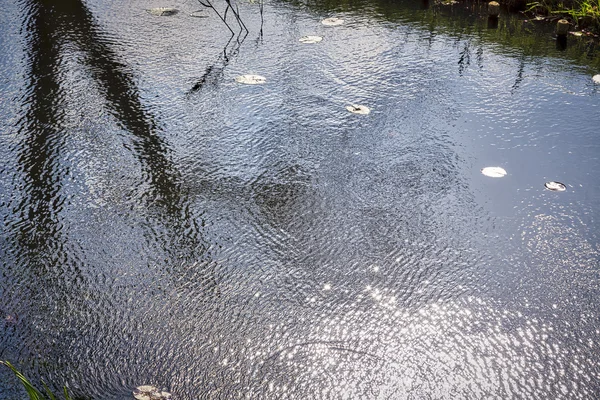 Arka plan için yaprakları ile mavi creek — Stok fotoğraf