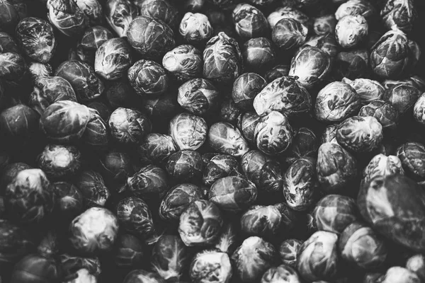 ブリュッセルの芽の山のヴィンテージの黒と白のショット — ストック写真