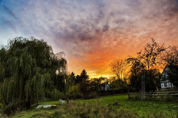 HDR shoot of a beautiful sunset in a garden — Stock Photo, Image