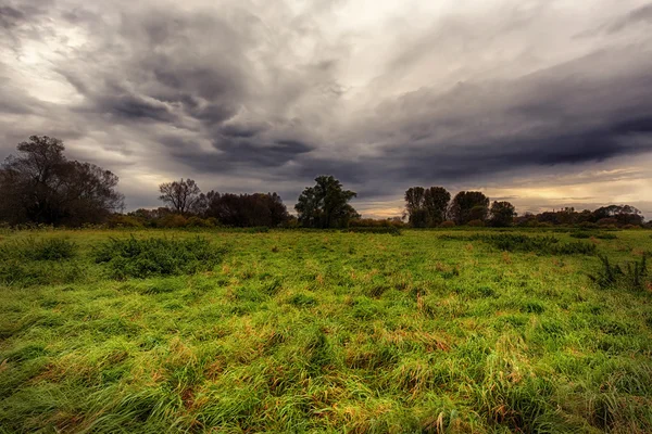 야생 초원와 극적인 하늘 풍경 — 스톡 사진