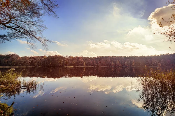 Herbstbaumpanorama an einem gläsernen See — Stockfoto