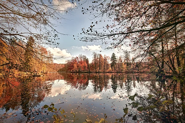 秋天的树木在玻湖的全景 — 图库照片