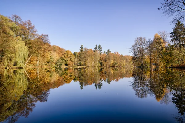 Herbstbaumpanorama an einem gläsernen See — Stockfoto