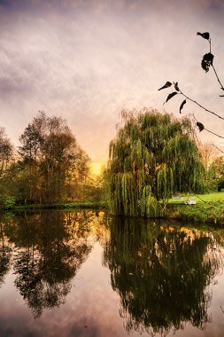 Ağlayan bir söğüt ağacının göldeki yansımasının görüntüsü.