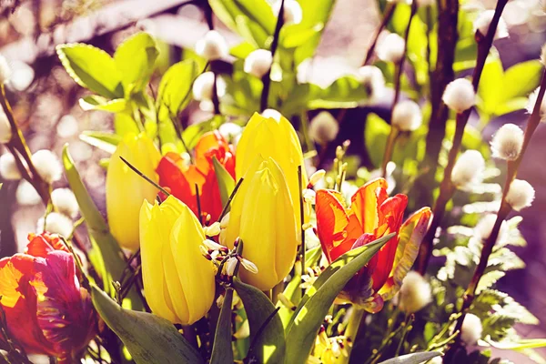 Açık Paskalya buket çiçek Lale ve kedi willows