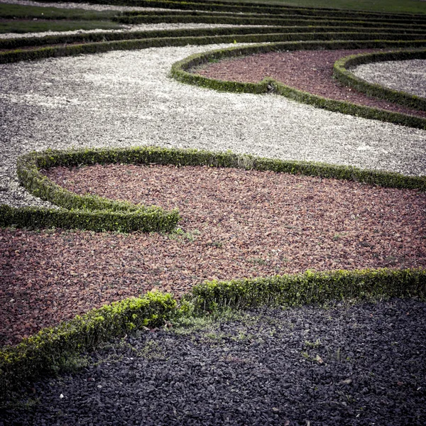 Detail of an ornamental garden with hedges and gravel — Stock Photo, Image