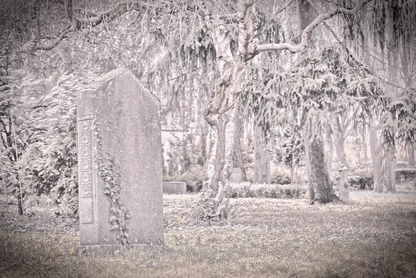 Oldtimer-Aufnahme eines alten Grabsteins in einem Garten — Stockfoto