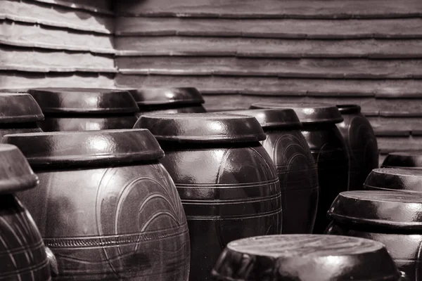 Tiro blanco y negro de antiguos cocodrilos japoneses —  Fotos de Stock