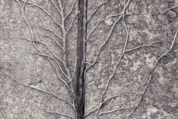 蔓の背景のための花こう岩の石の成長 — ストック写真