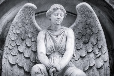 siyah ve beyaz bir melek kadeh. 